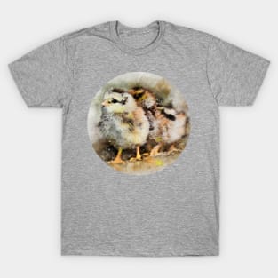 Two chicks just hatched T-Shirt